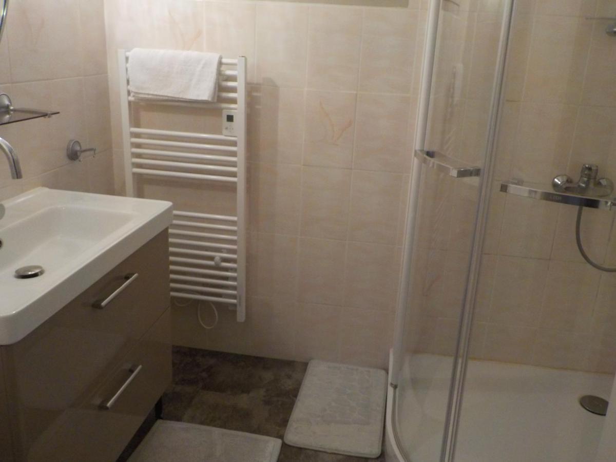 Charmant Appartement Dans Maison De Caractere Saint-Brice-sur-Vienne Ngoại thất bức ảnh